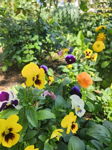 WhatsApp Image 2025-09-29 at 12.04.51_89a86b42