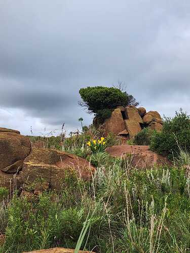 WhatsApp Image 2026-01-09 at 10.35.04 (1)