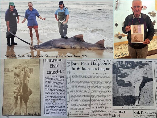 556232459_1308486011073657_4700737452322715867_n