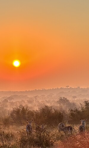 IMG_1964