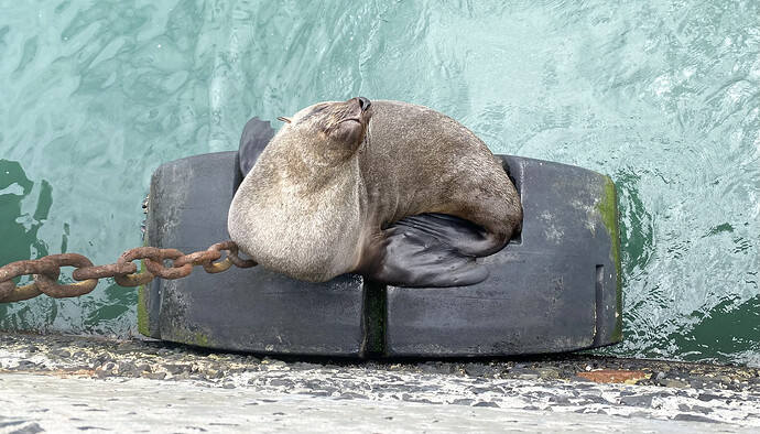 20251108_100255862_iOS